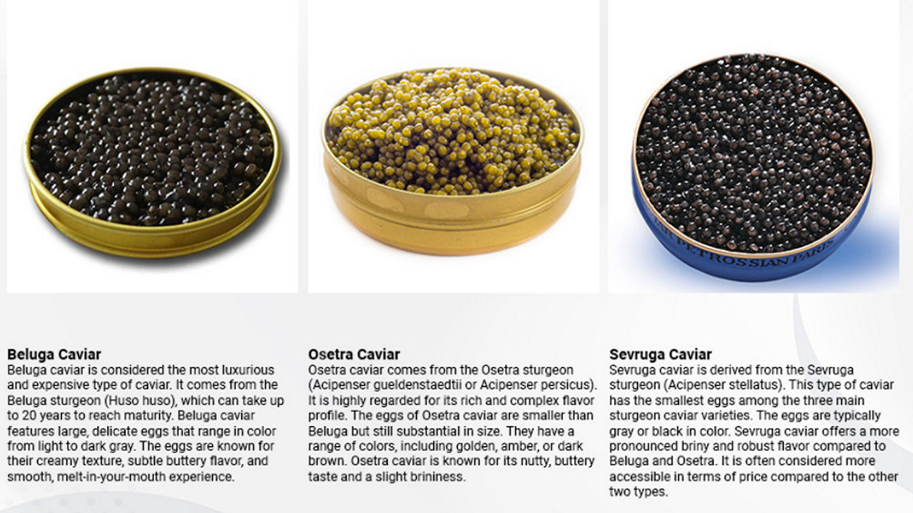 What is so special about caviar? – Aria Zone